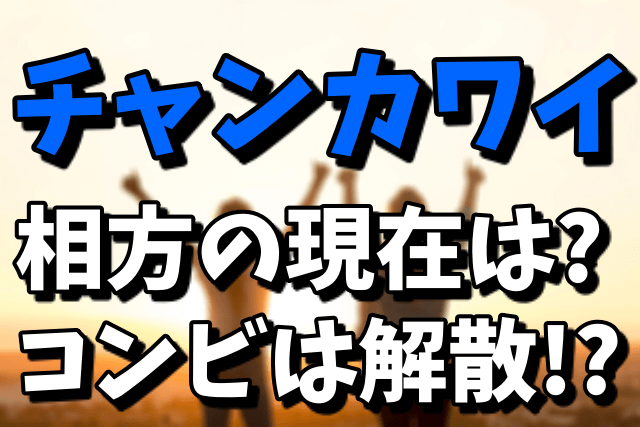 チャンカワイ(Wエンジン)の相方の現在|コンビは解散?